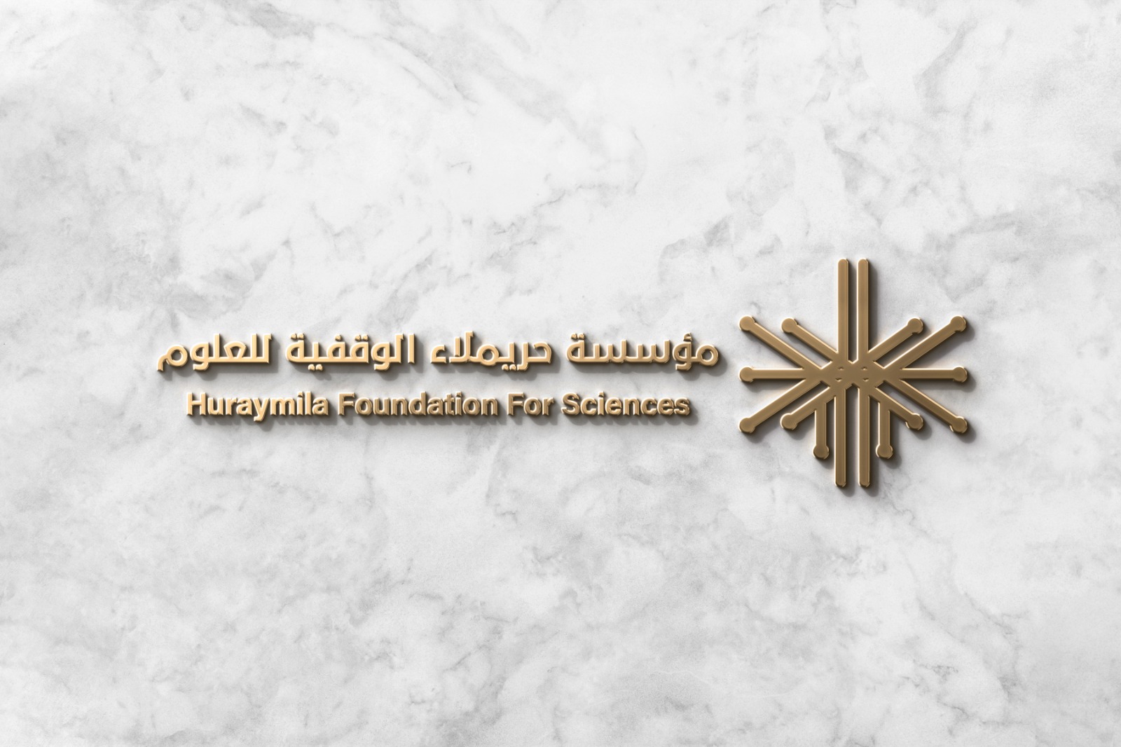 Professional Logo Design